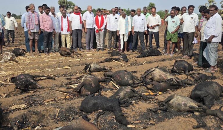 Stubble burning becomes a distressing trend causing heavy losses to farmers in Khammam