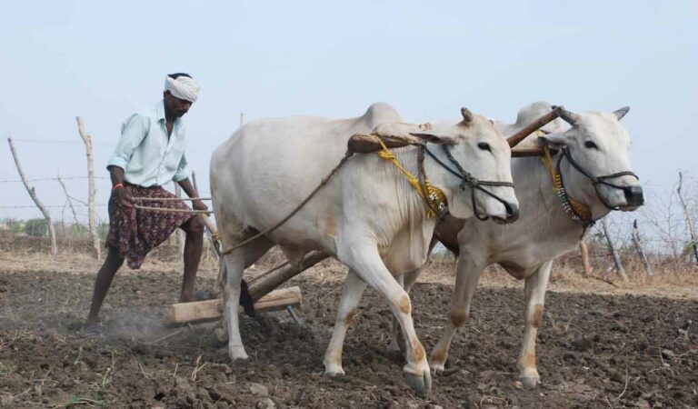 Normal life hit by unseasonal rains, gales in erstwhile Mancherial