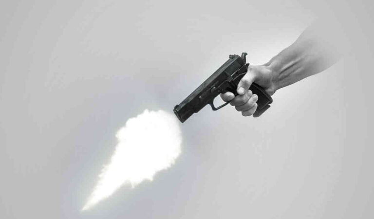 Teacher’s Husband Opens Fire at School in Karauli, One Injured
