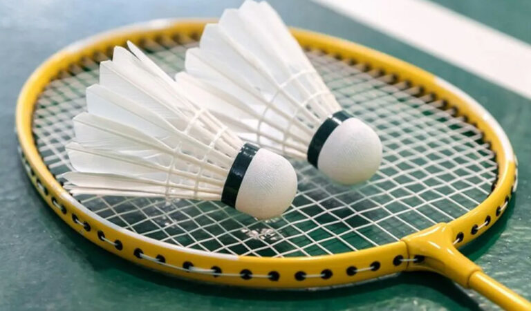 Sangareddy District badminton championship from May 17